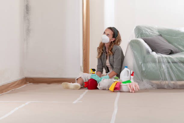 Reliable Mold Inspection And Testing contractor in Newberg, OR by Car Mold Remediation